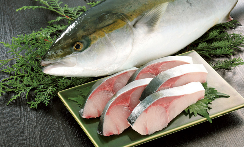 頂級日本料理的超頂級魚肉 冰見寒鰤 世界高級品luxurywatcher