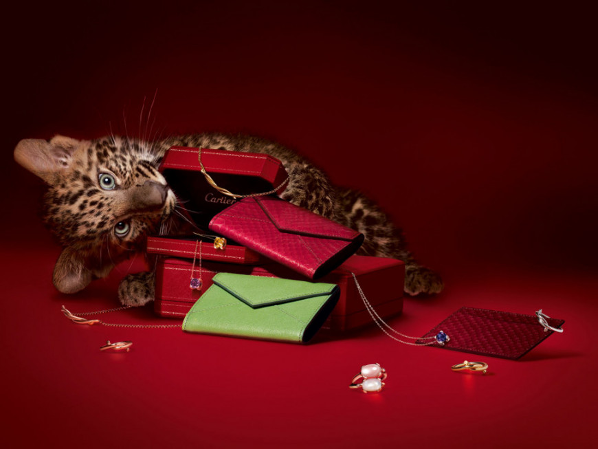 卡地亚珠宝有什麼必买的经典系列