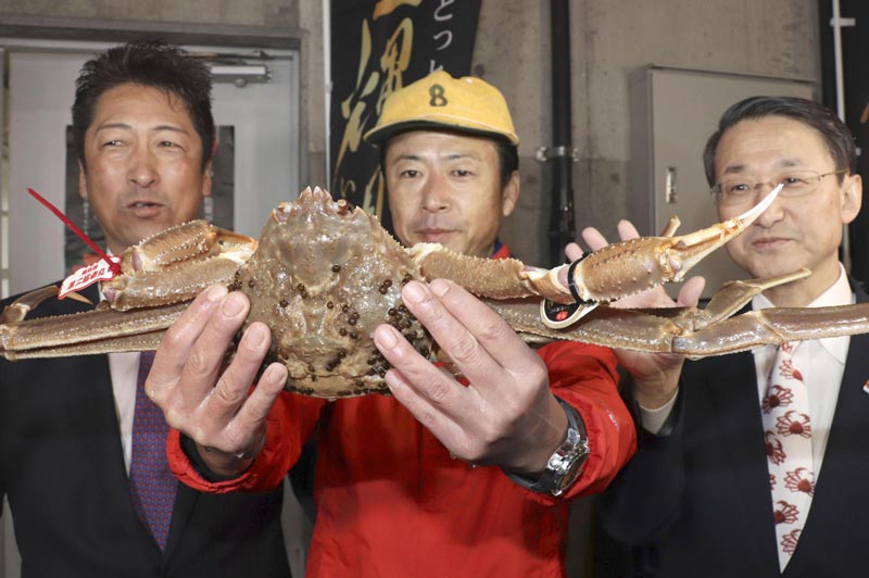 史上最贵螃蟹出炉  一只天价140万元