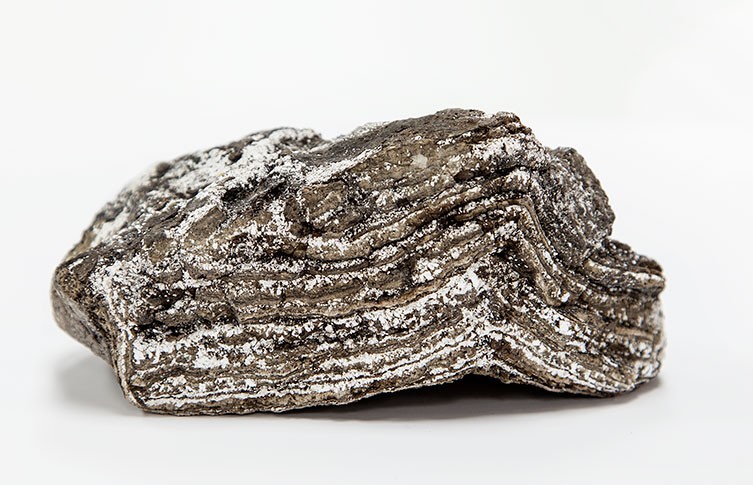 神秘珍贵的千年奇物「龙涎香」到底是什麼？原来还有这几种用途