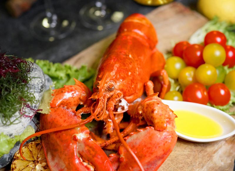 君品酒店周年庆  加拿大龙虾吃到饱