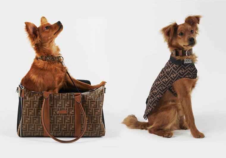 毛小孩要時尚！Fendi全新寵物系列不只包包、配件連外套都有