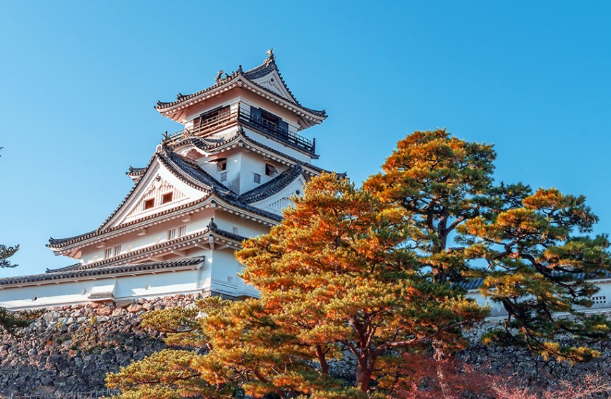 台北-高知包機續簽 燦星推2023秋冬深度旅行行程