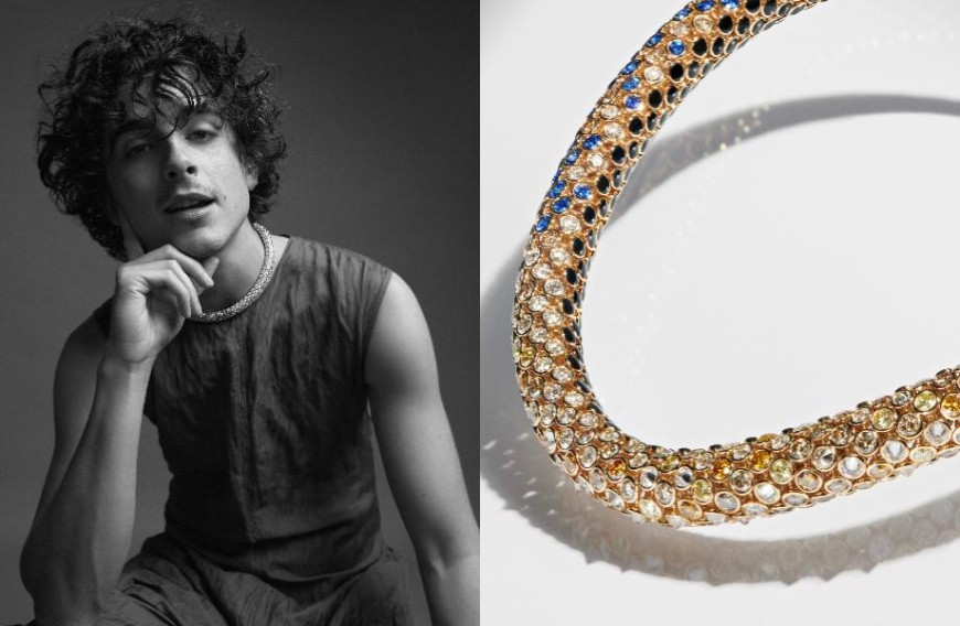 卡地亚红毯珠宝 提摩西夏勒梅诠释《沙丘》项链