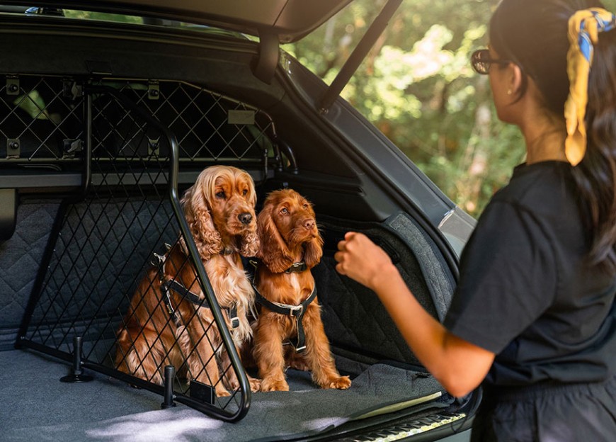 Bentley賓利寵物配件系列 後車廂護欄守護愛犬奢華旅程